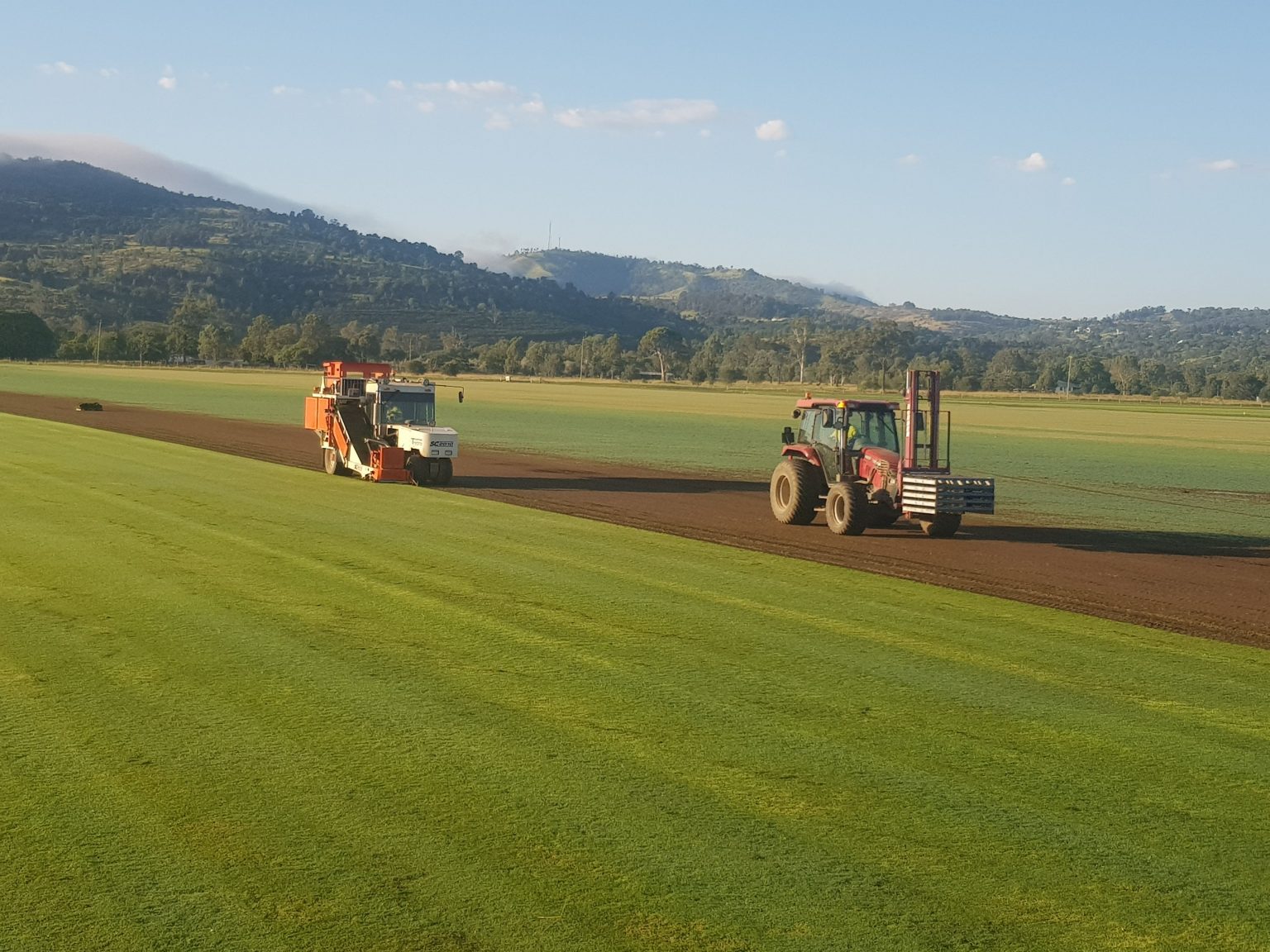 Turf Varieties Walkers Turf Supplies